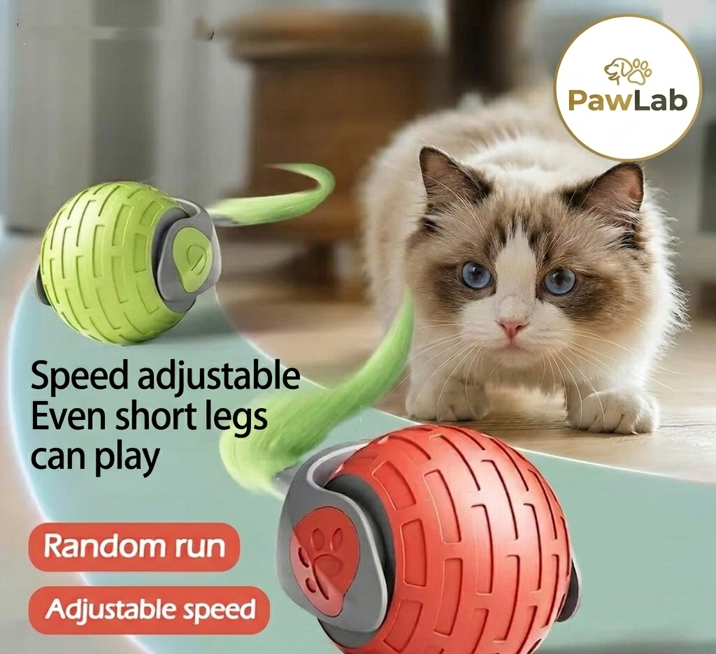 Cat Toys Auto Rolling Ball